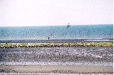 Worthing Beach